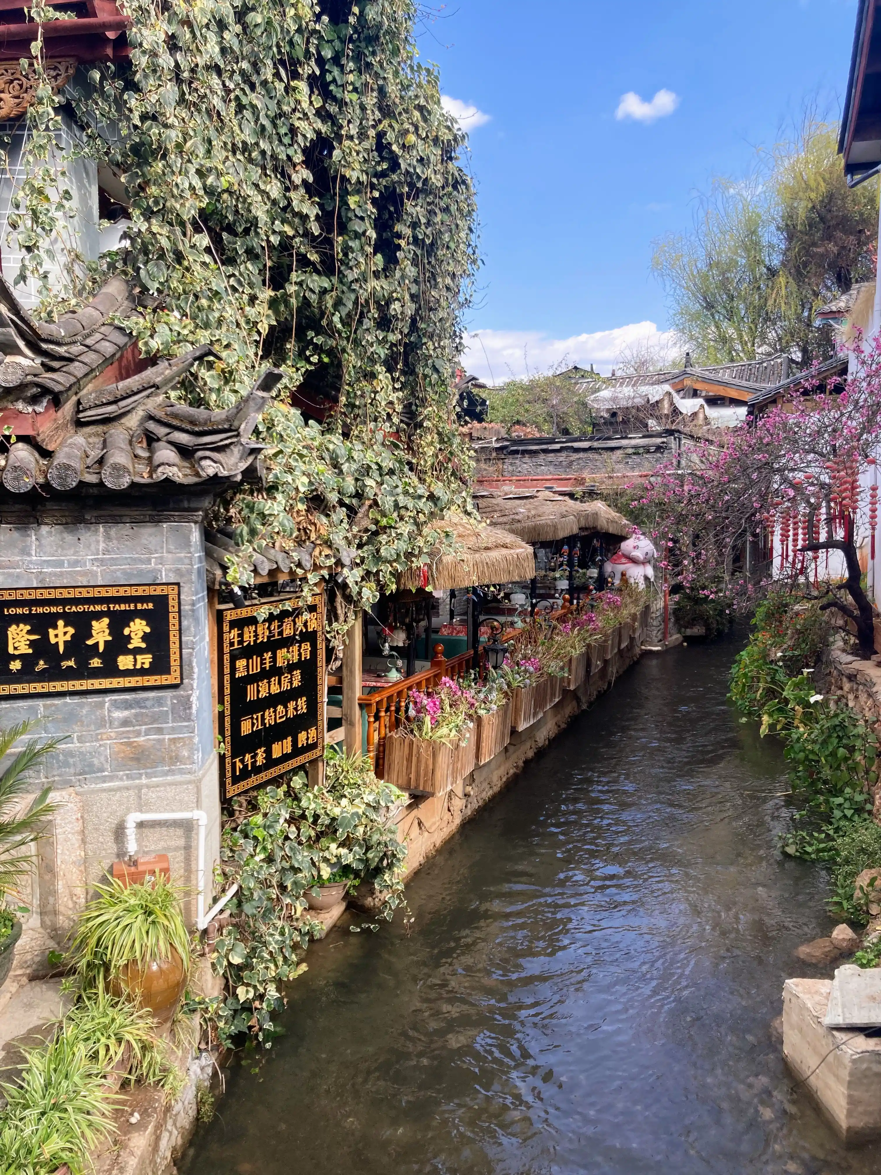 Lijiang canal in the center