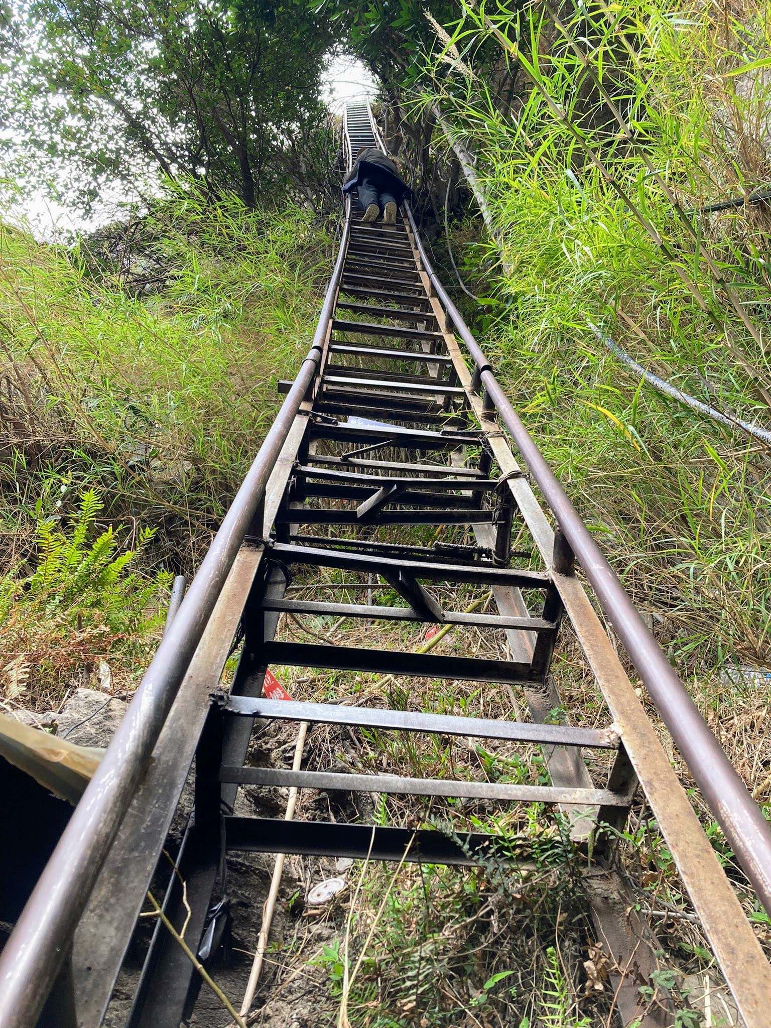 Sofi climbing a vertical ladder on the middle Tiger Leaping Gorge path