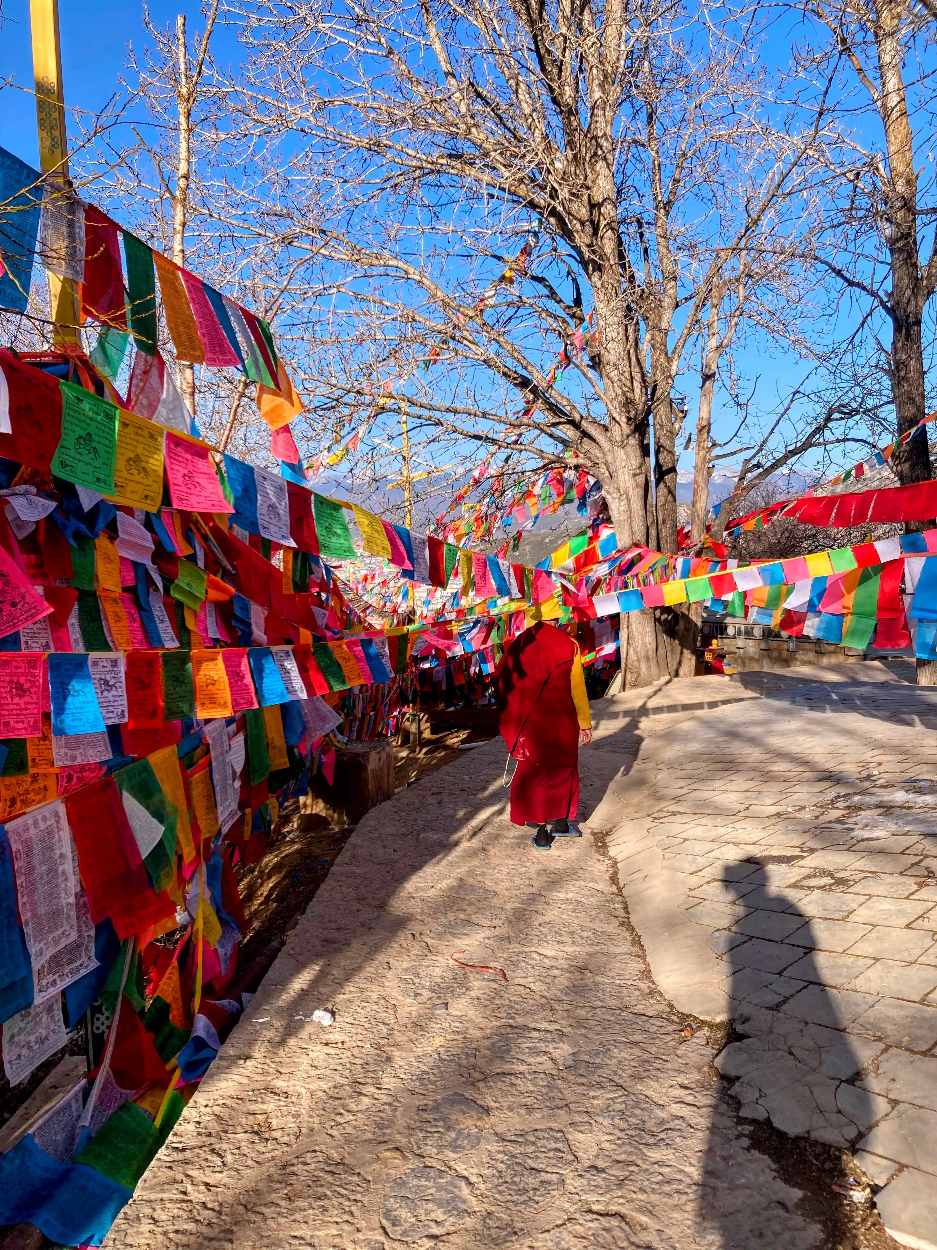 Monk walking in Shangri La