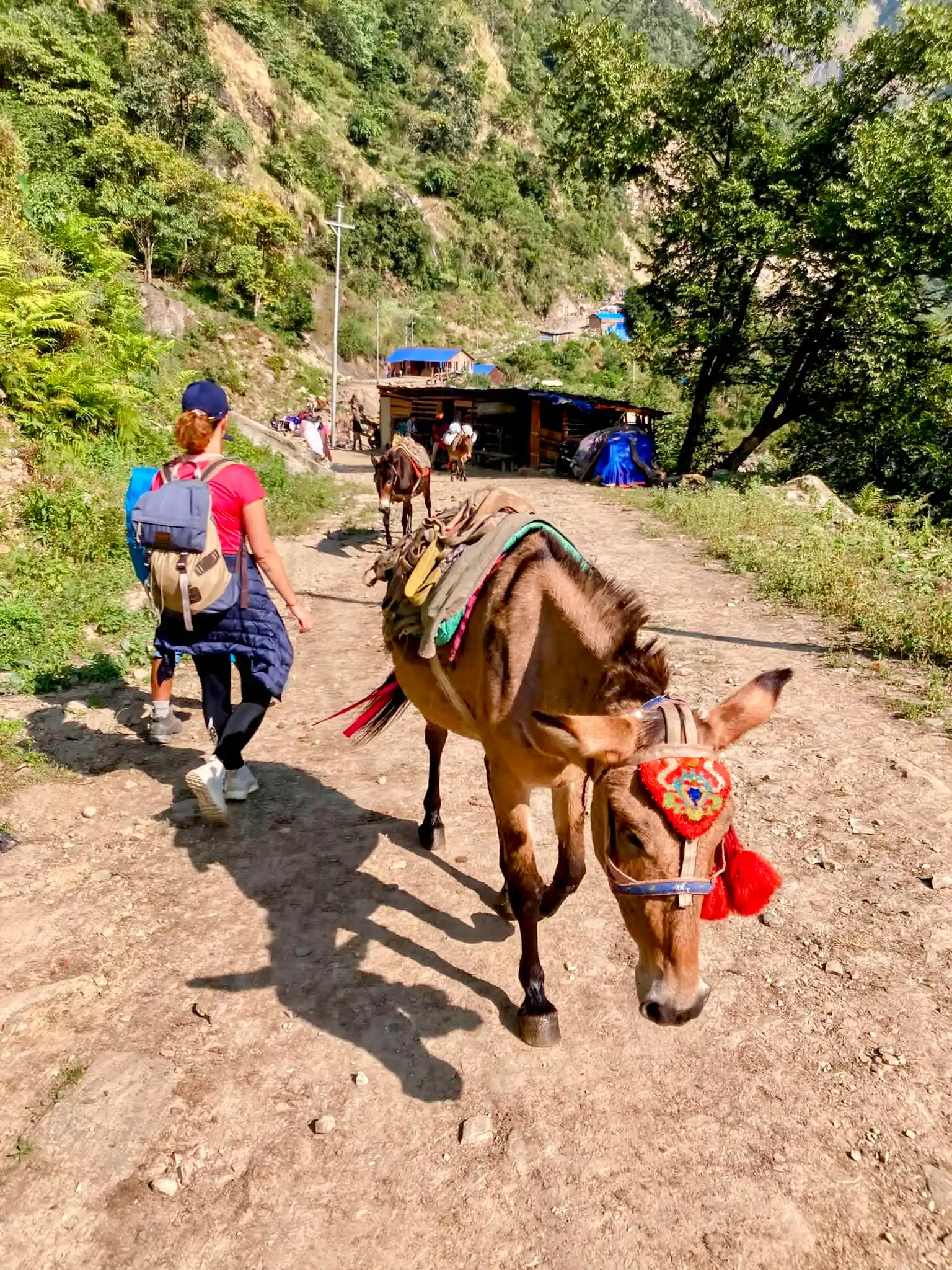 Sofi with a Donkey