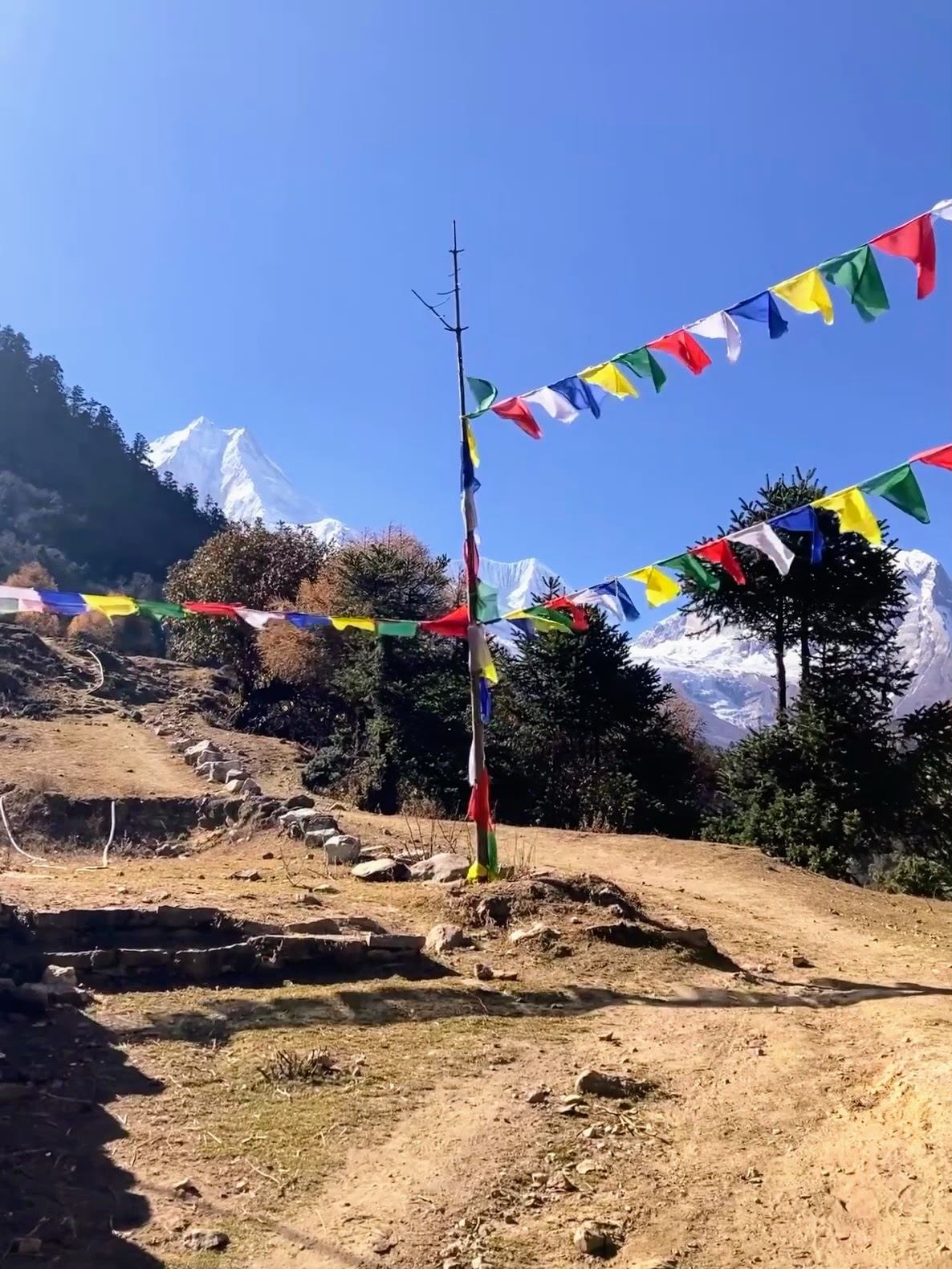 Himalayan Flags