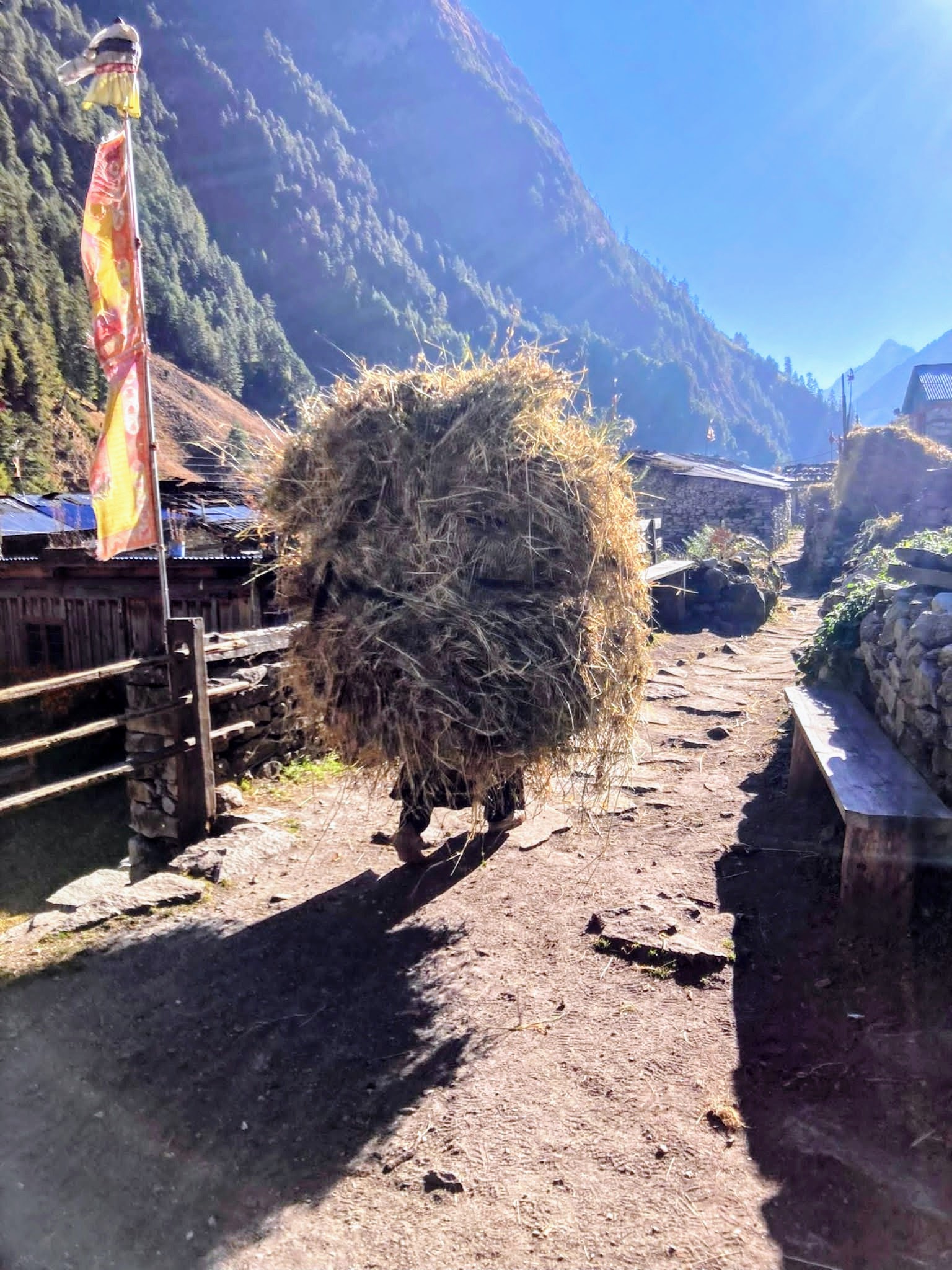 Woman with hay