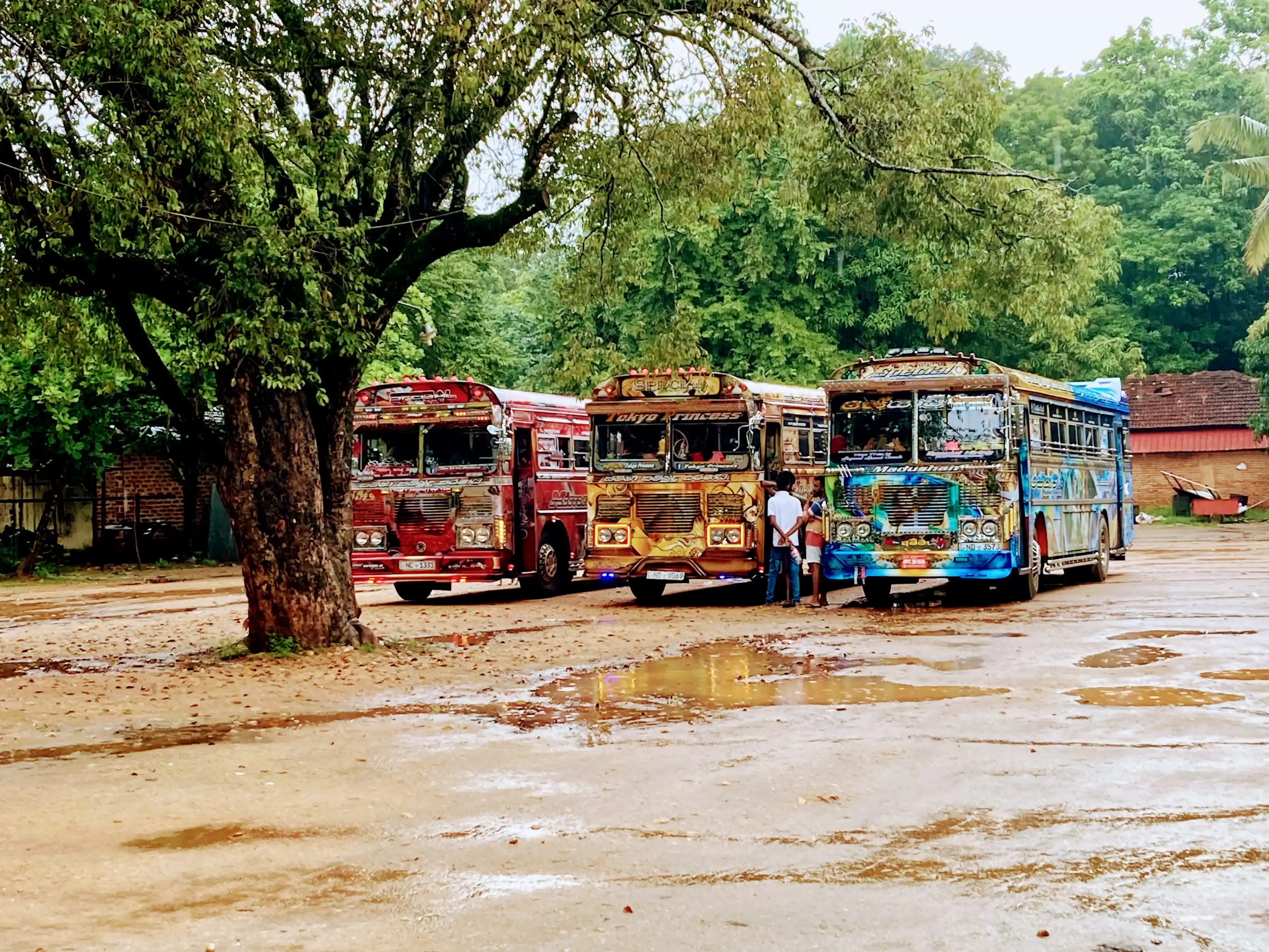 Nepal bus image