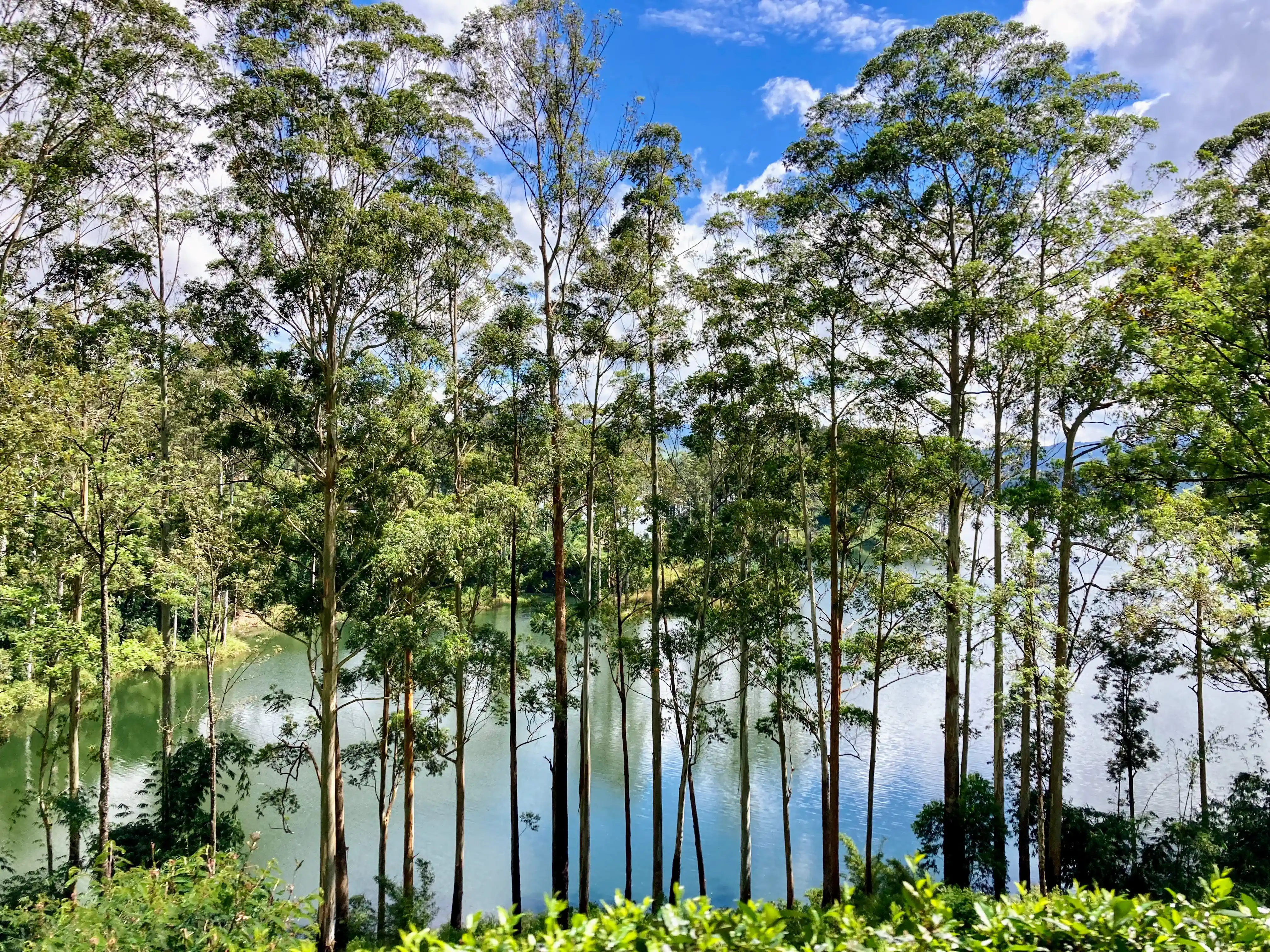 Lake on the way to Nuwara Eliya