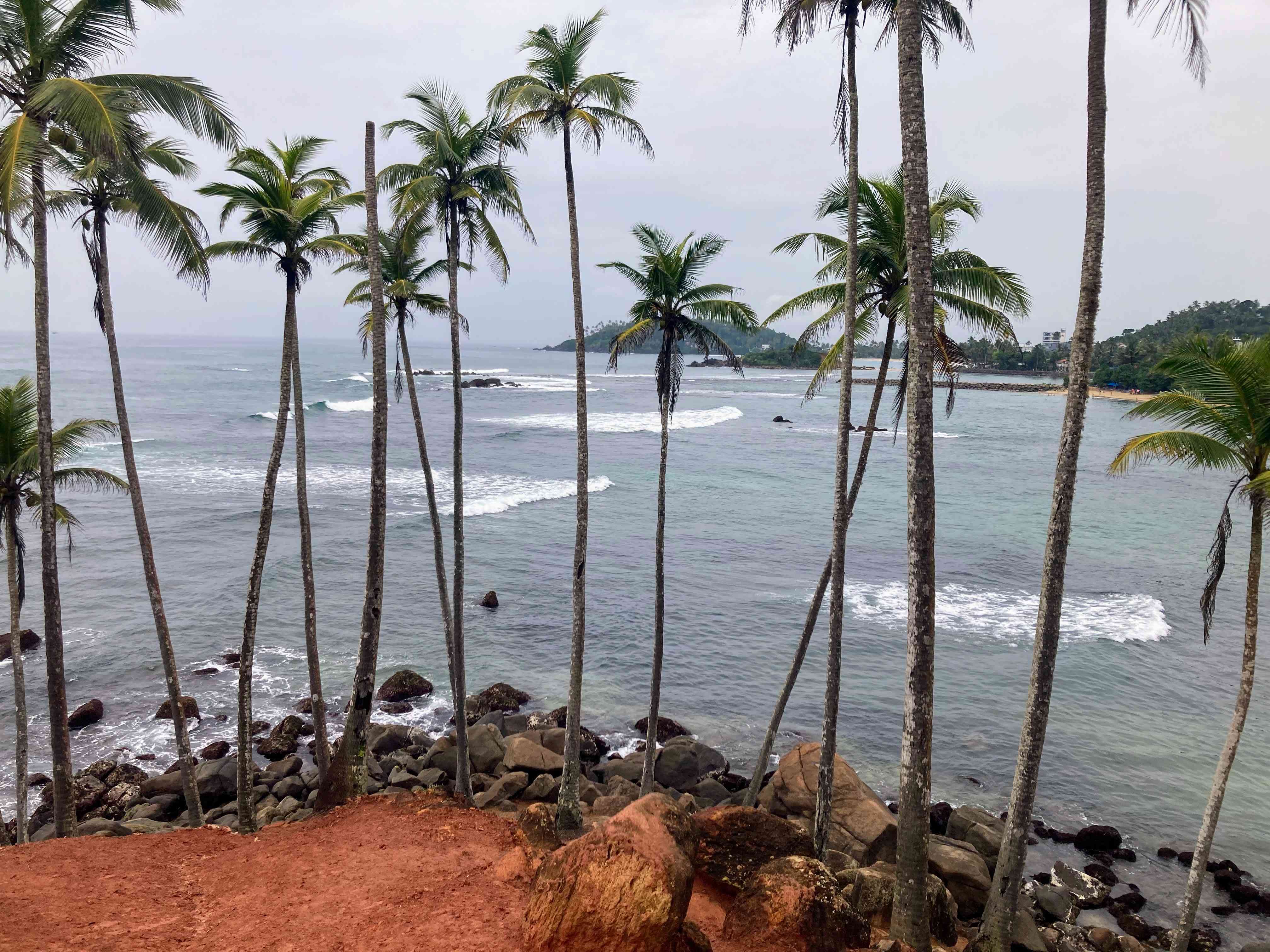 Mirissa sea and palms